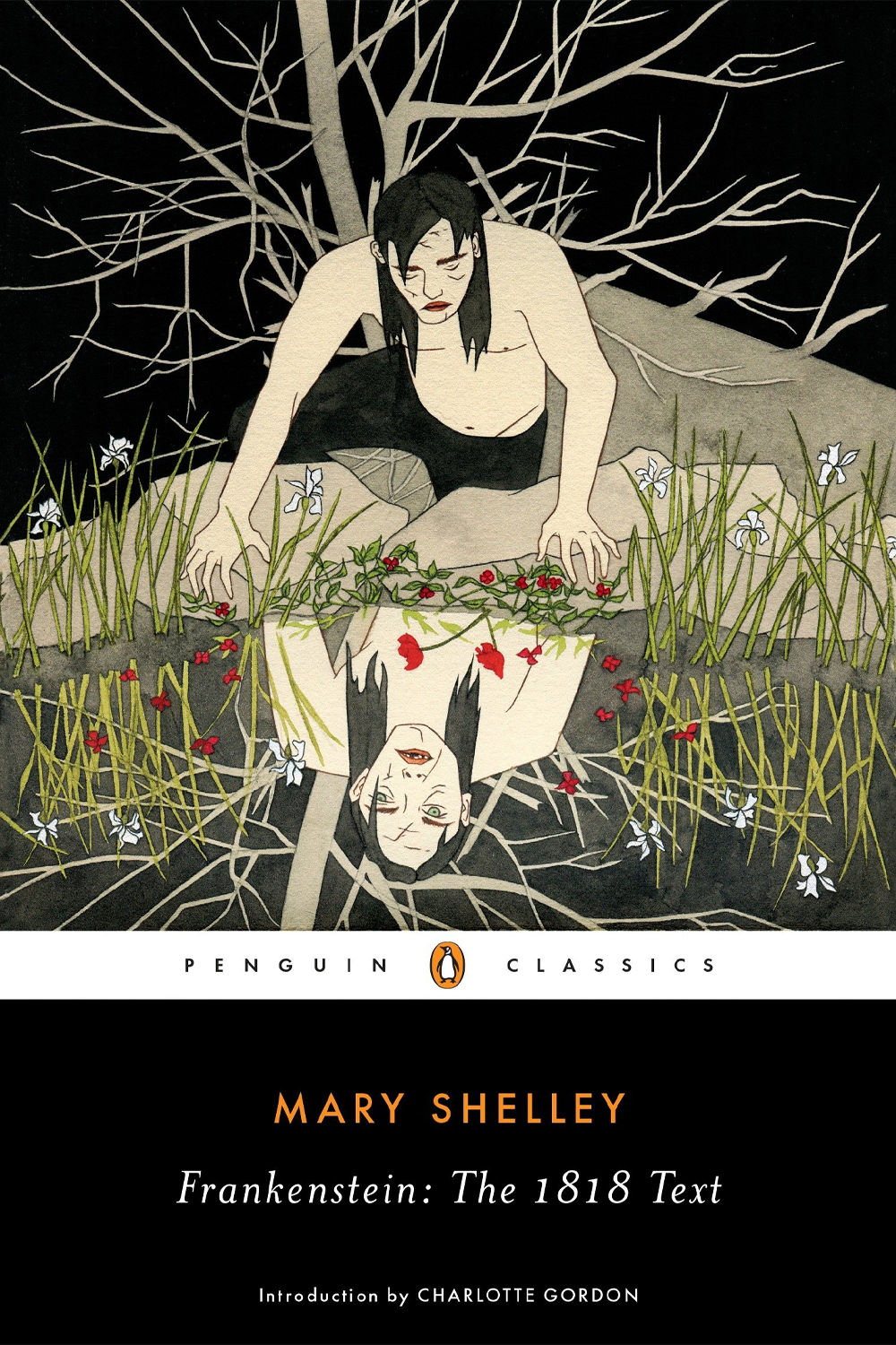 Frankenstein, or, The modern Prometheus: the 1818 text